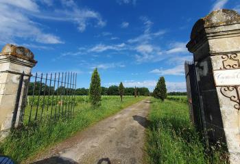 Domaine viticole à vendre - accès RN 89 et Libourne  à Arveyres - 33500