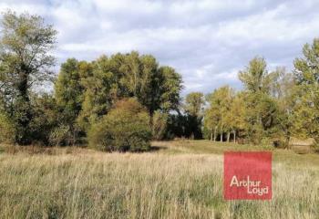 Terrain à vendre Auterive (31190) - 32272 m²  à Auterive - 31190