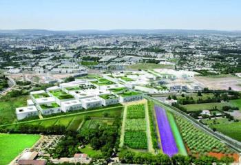 Terrain à vendre à, proche A9 et gare TGV  à Castelnau-le-Lez - 34170