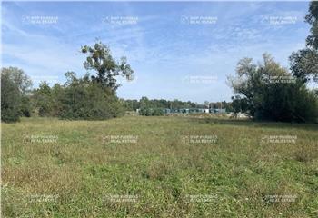 Terrain constructible - Zone d'activité  à Dettwiller - 67490