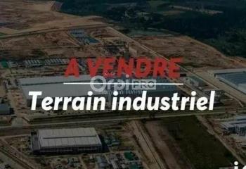 Terrain à vendre Genlis (21110) - 5768 m²  à Genlis - 21110