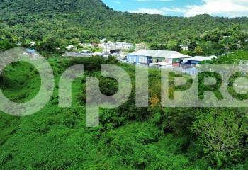 Terrain à vendre Gourbeyre (97113) - 9694 m²