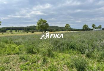 Terrain à vendre Lavaur (81500) - 20000 m²  à Lavaur - 81500