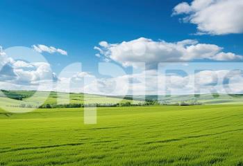 Terrain à vendre Magnac-Bourg (87380) - 1500 m²  à Magnac-Bourg - 87380