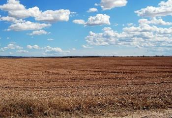 Terrain à vendre Nouvelle-Église (62370) - 250000 m²  à Nouvelle-Église - 62370