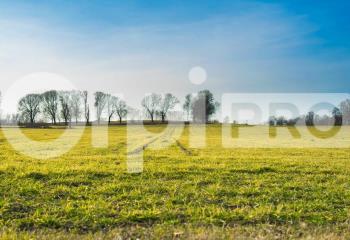 Terrain à vendre Pierre-Buffière (87260) - 2200 m²  à Pierre-Buffière - 87260