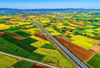 Terrain divisible à vendre - accès A4/A35 et TGV  à Saverne - 67700