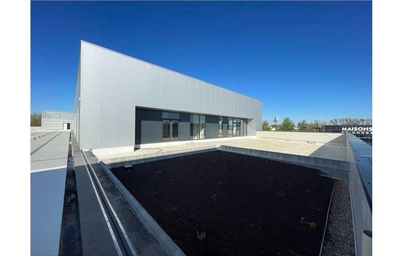 Location de local commercial de 651 m² à Bègles - 33130 photo - 1